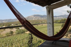 view-calenzana